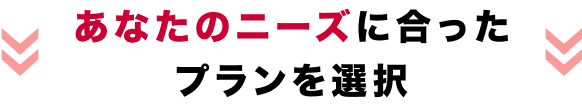 あなたのニーズに合ったプランを選択
